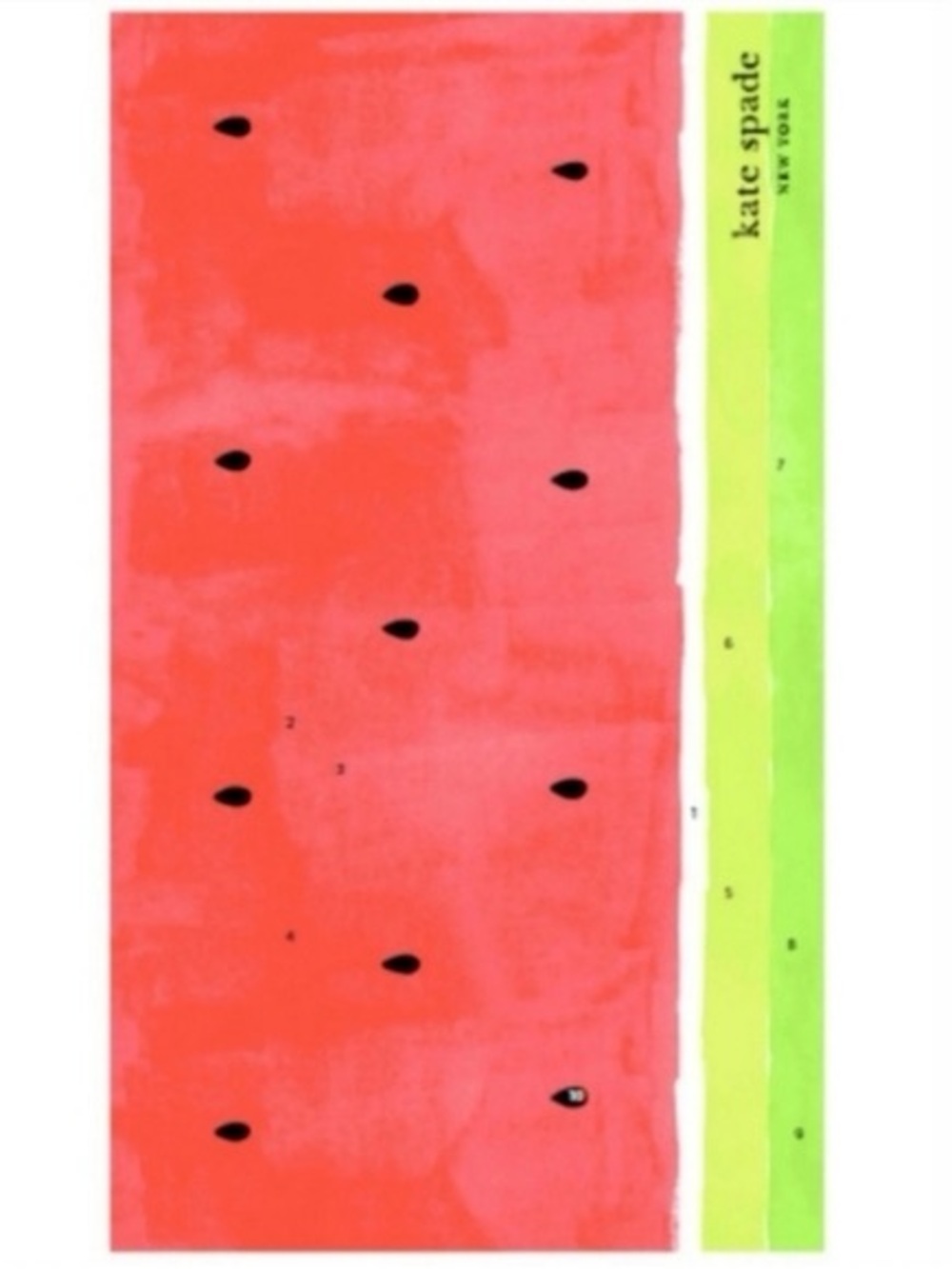 NWOT Kate Spade New York watermelon beach towel